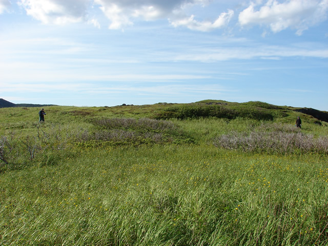 The survey crew investigates a rectangular made galet, recorded on an early 19th-century map of Petites Islettes.